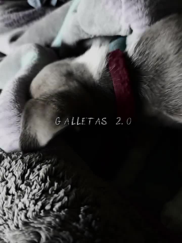 @꧁༒☬𝓙𝓞𝓢𝓤É☬༒꧂