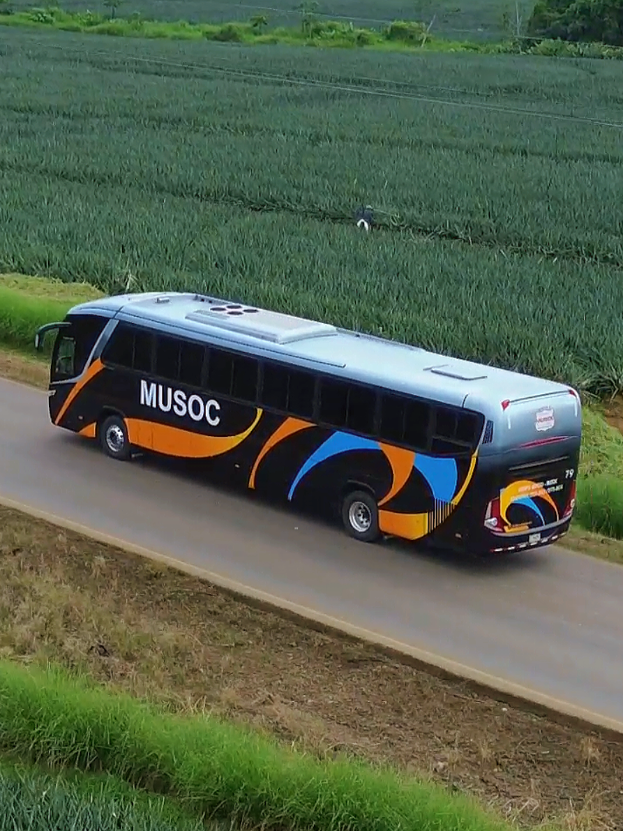 @BUSES PZ | BPZ