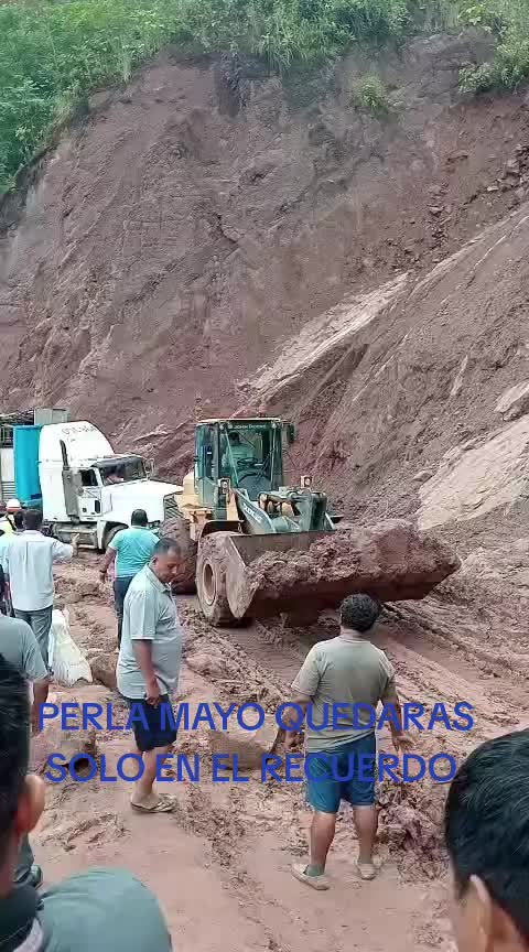 @TRANSPPEX 🚛🚛❤️