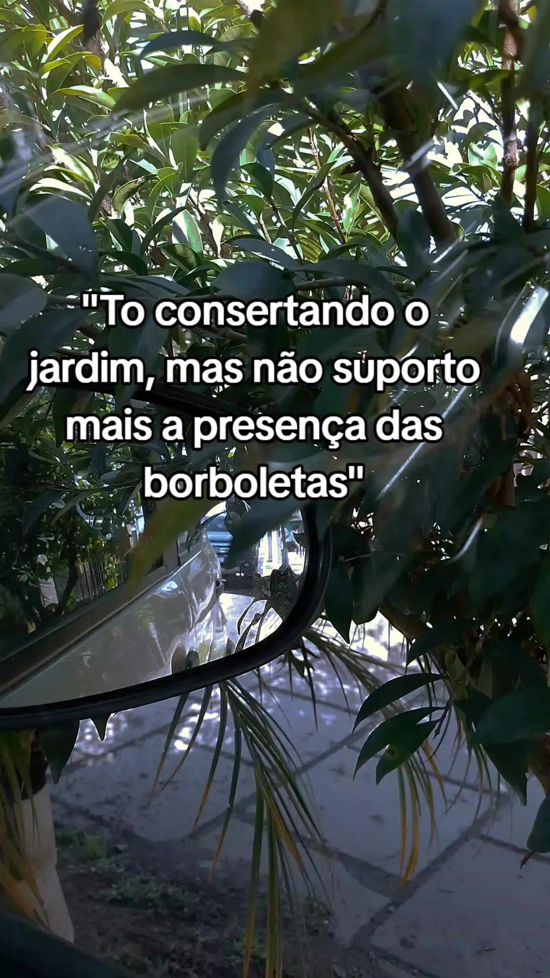 @Vitt_Santt