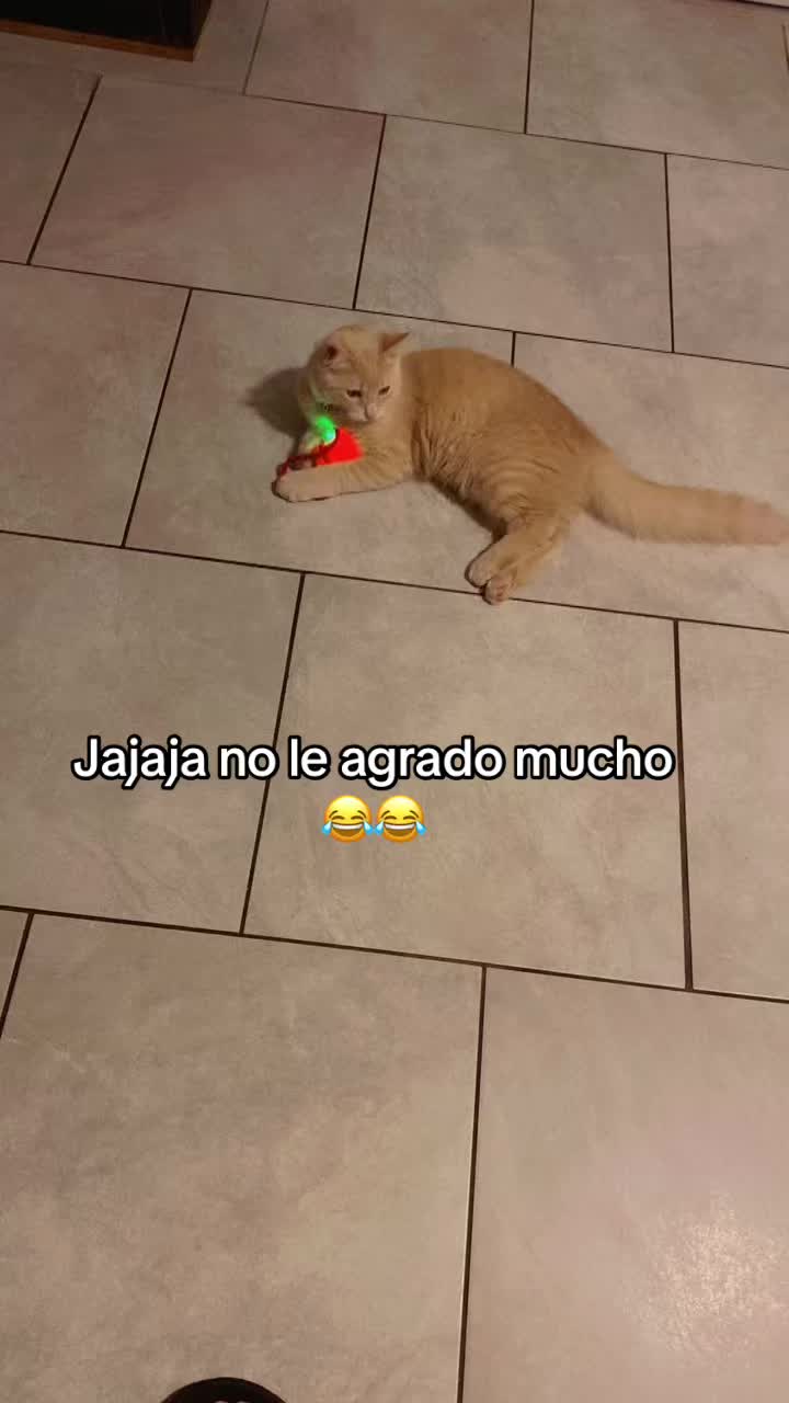 @Rosita Osorio