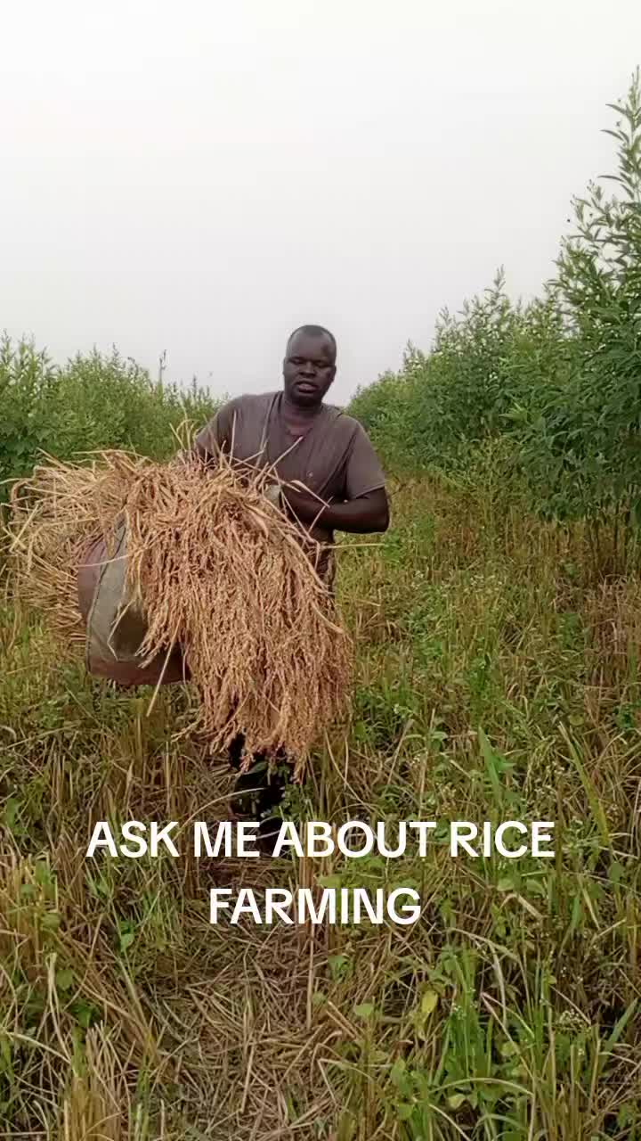 @APOSTLE NORBERT MAO