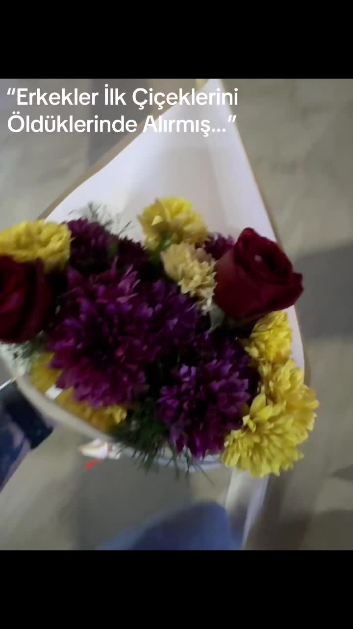 @Mustafa &Ouml;ZT&Uuml;RK