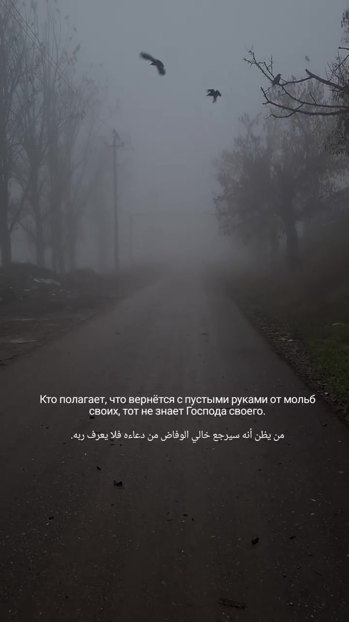 @liloboty