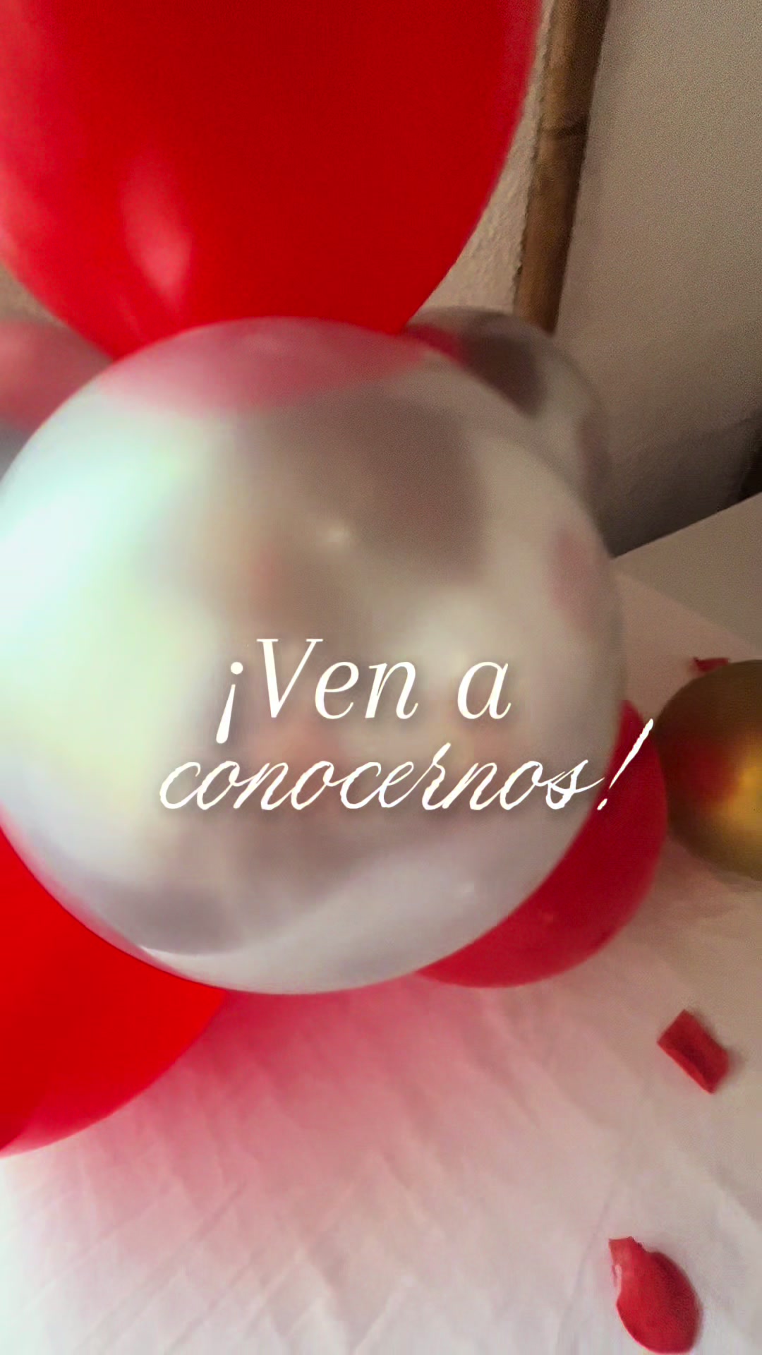 @Para&iacute;so & Aventura