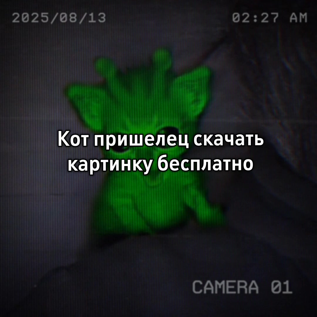 @𝔗 𝔞𝔪 𝔞𝔩𝔦𝔢𝔫 👽🫩