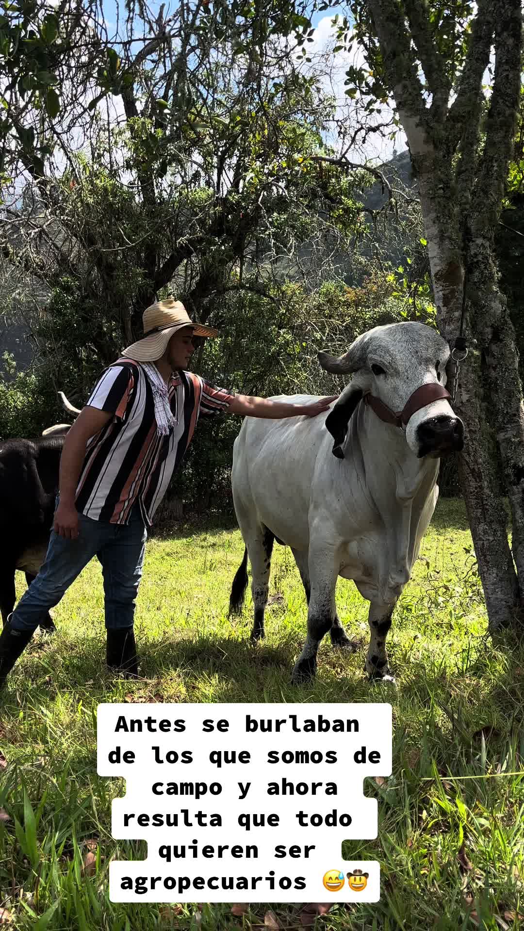 @SHARLY  🤠🐮
