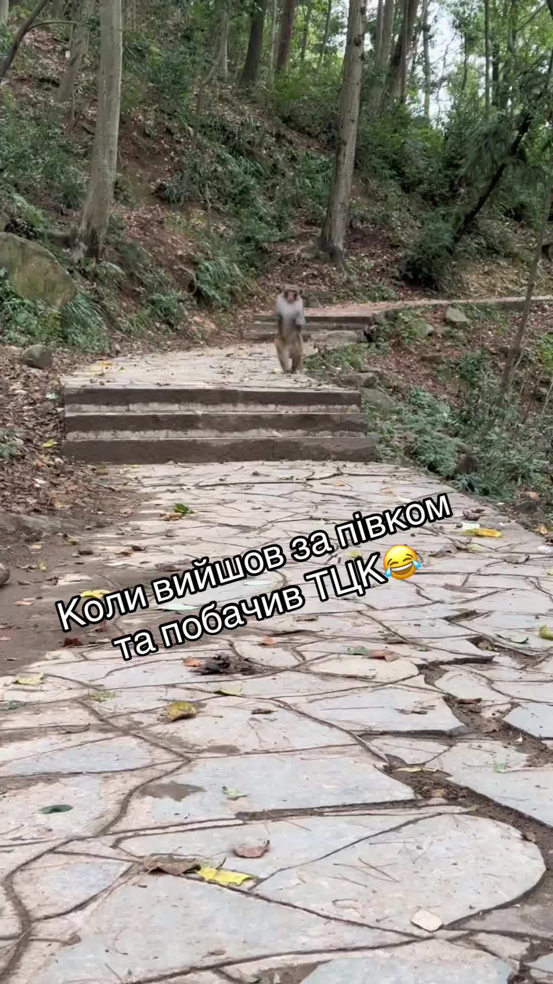 @🦁ViKtOrInO4Ka🦁