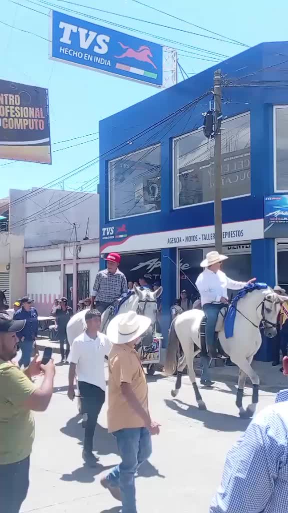 @elgonzalez133
