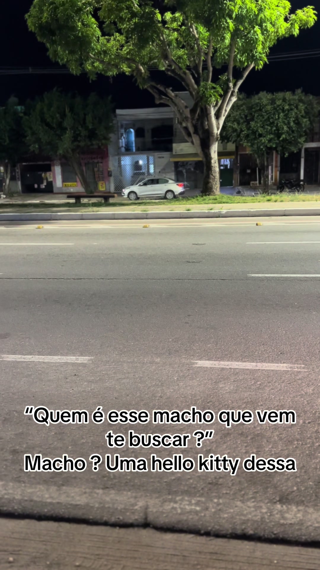 @vivisena