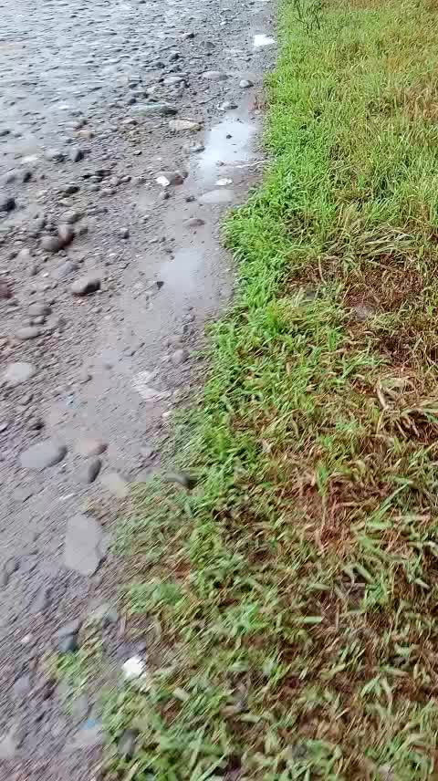 @Zulfikar_MJ