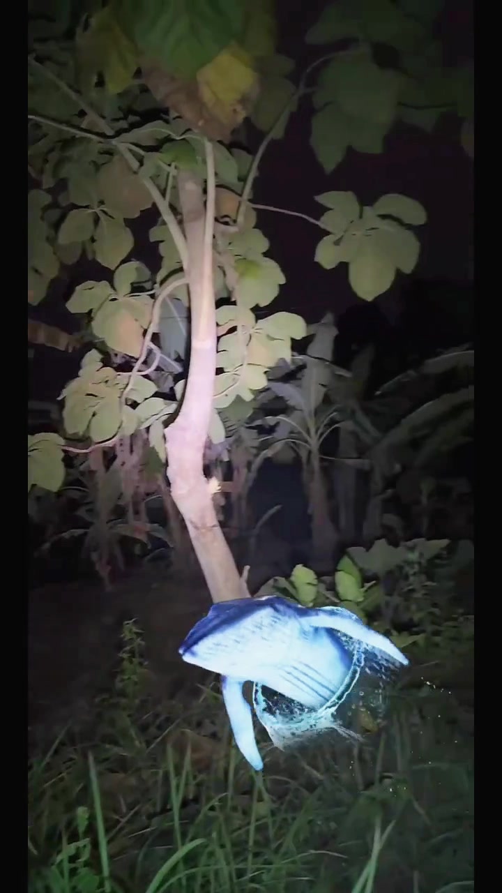 @𝐌𝐎𝐃ᴷᶜᴸᴷ