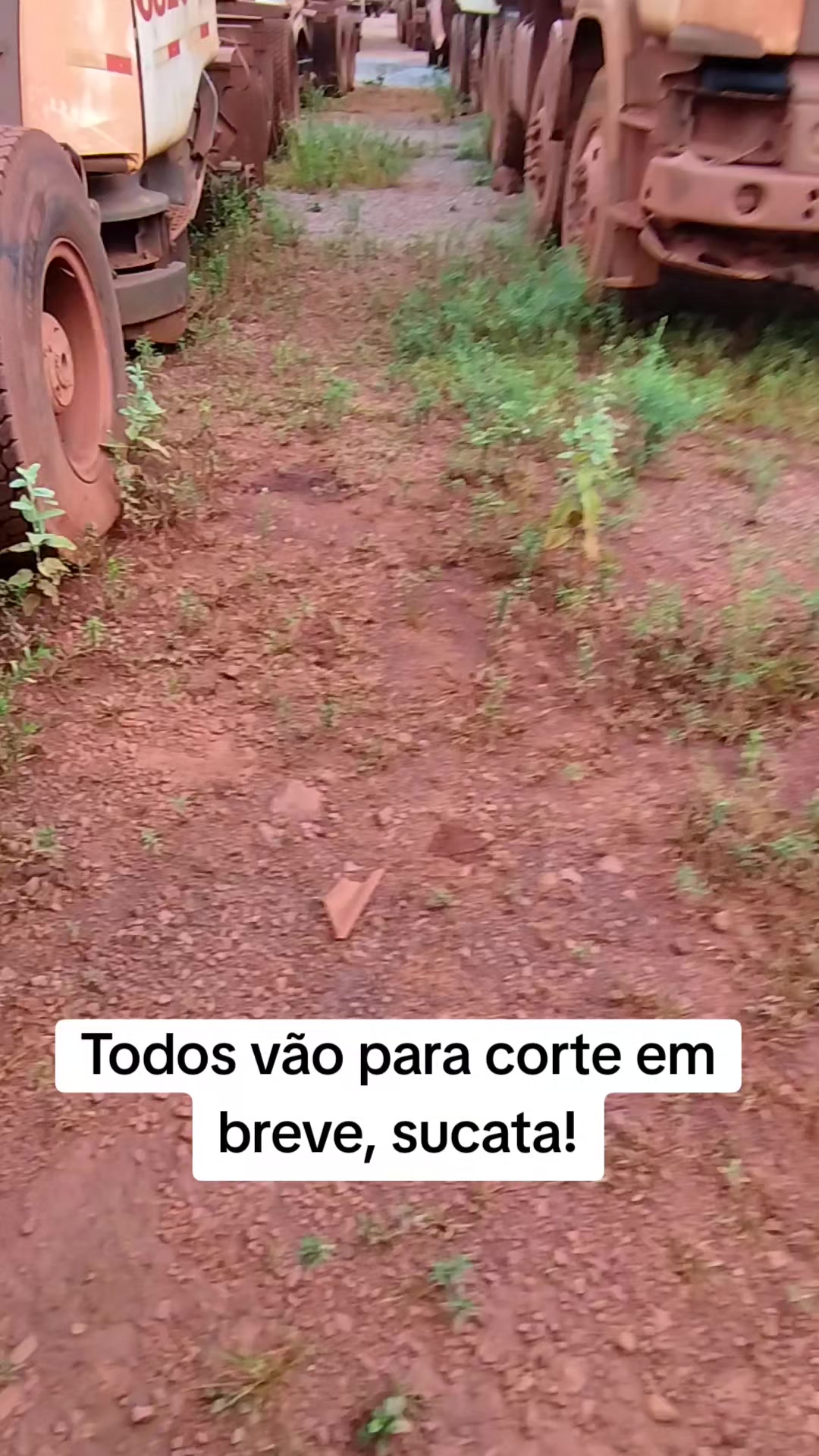 @leofernandesdm