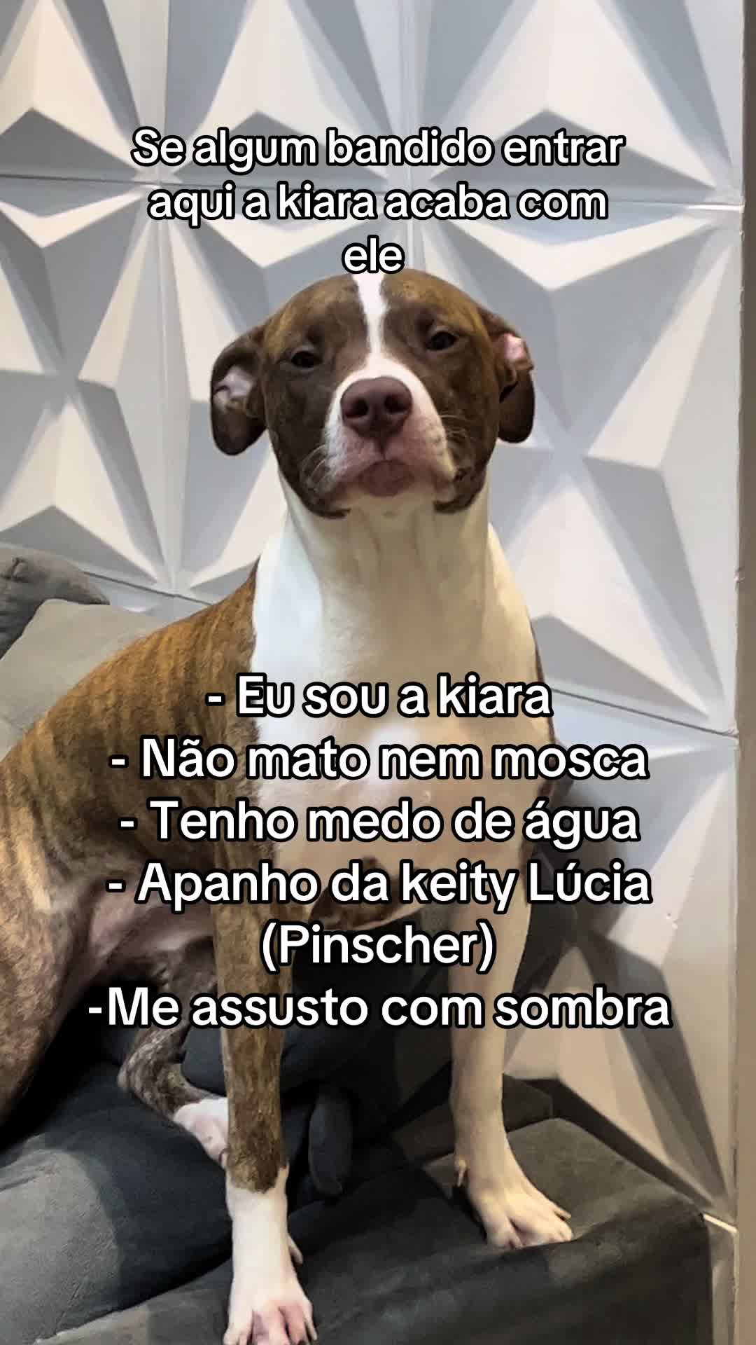 @Amanda Moreira
