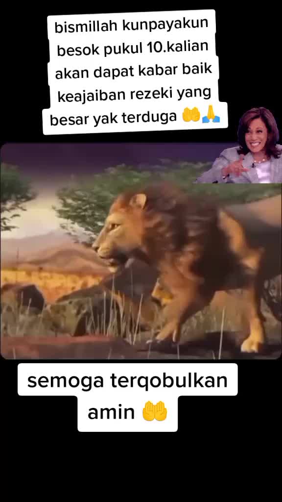 @Mojang Desa🤣🤣