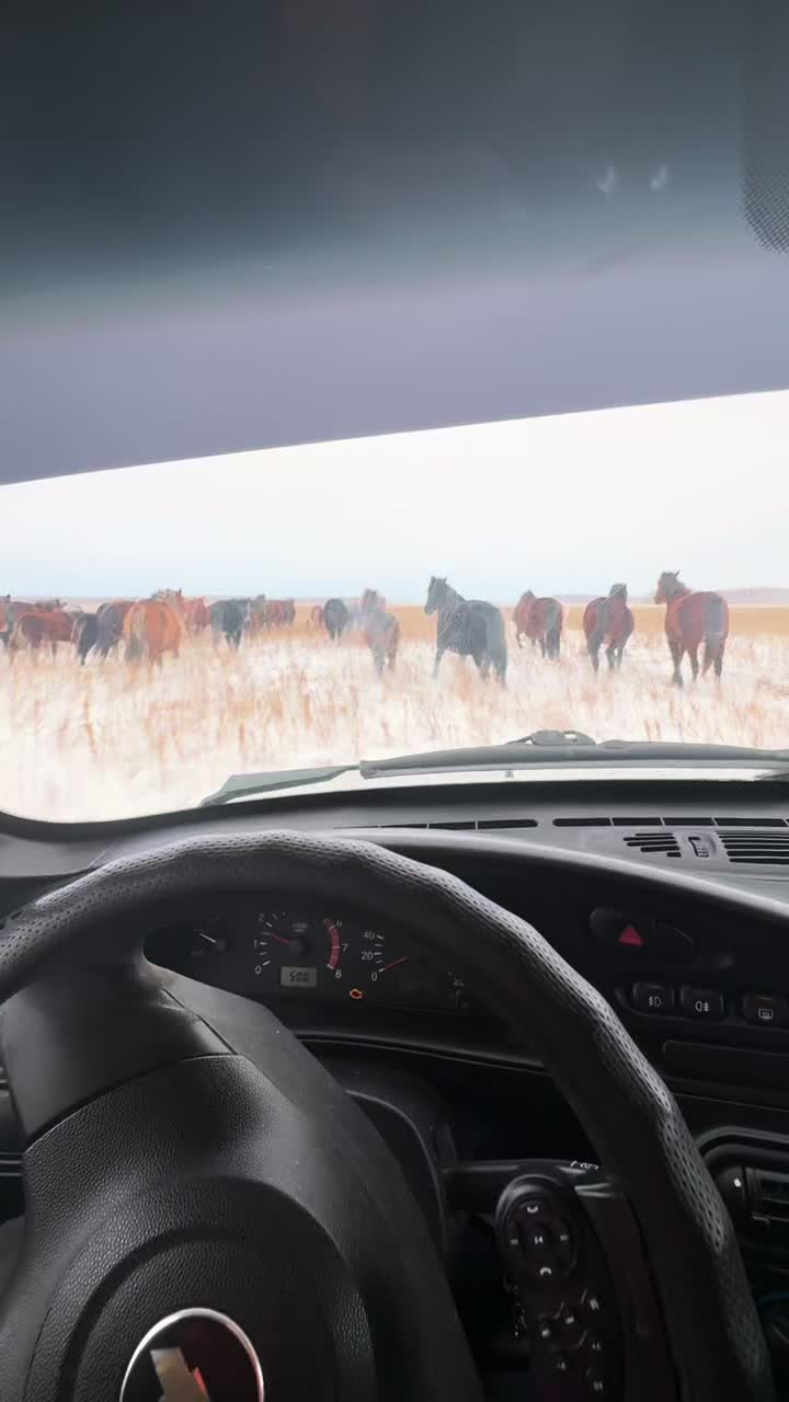 @Какилеев Ескендр