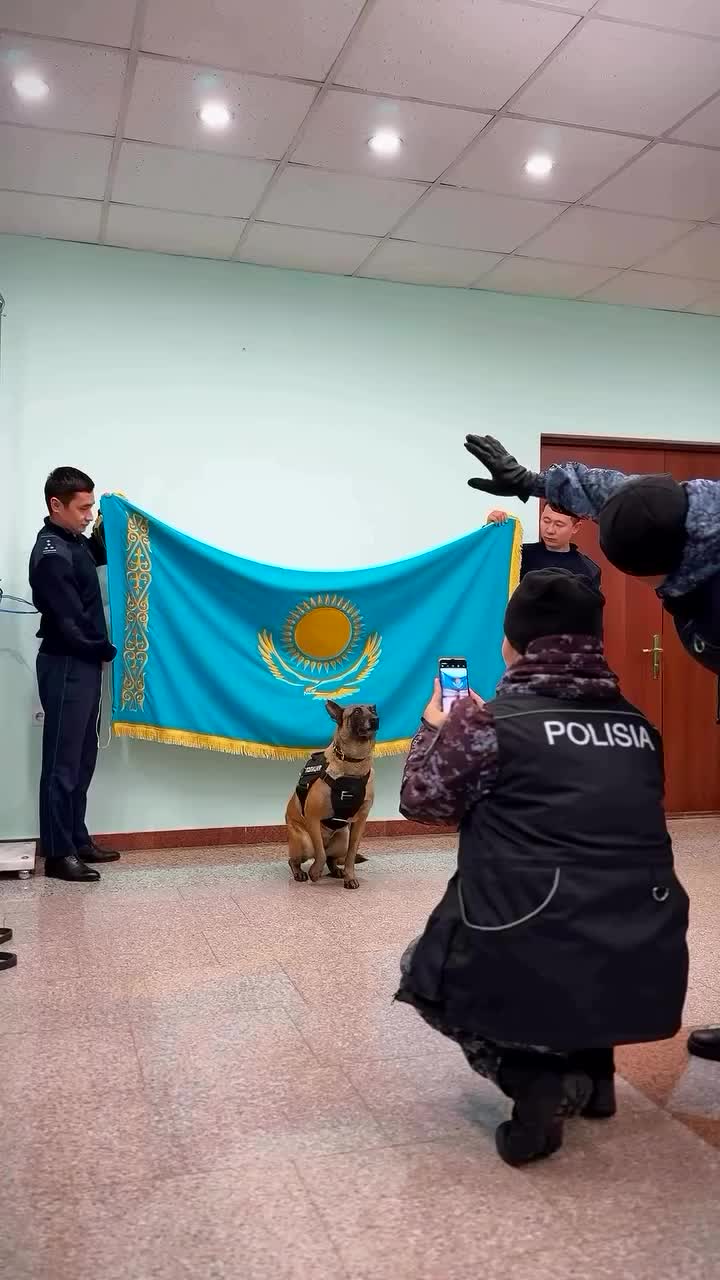 @villagekazakhstan