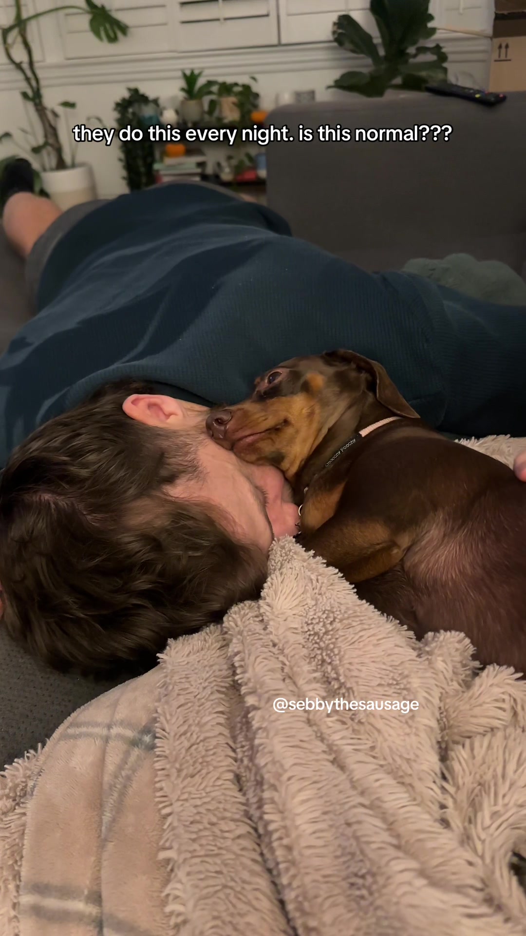 @sebbythesausage