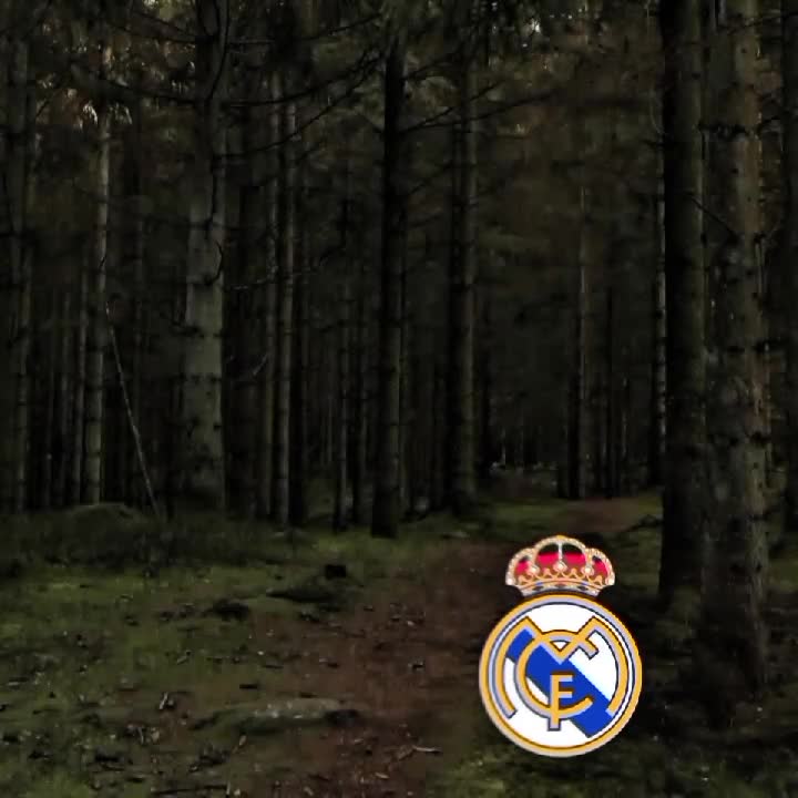 @meszk_