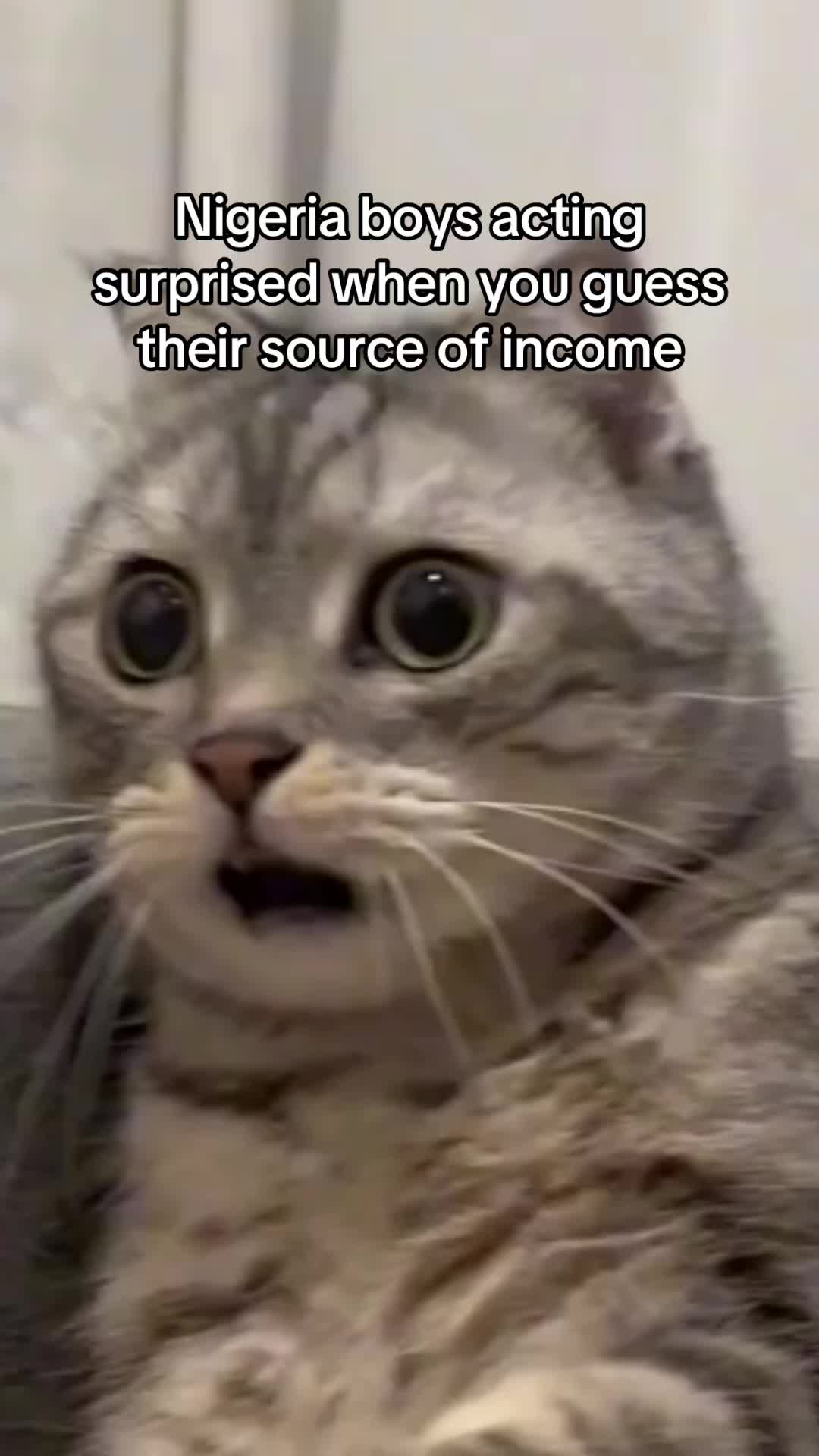 @Op11