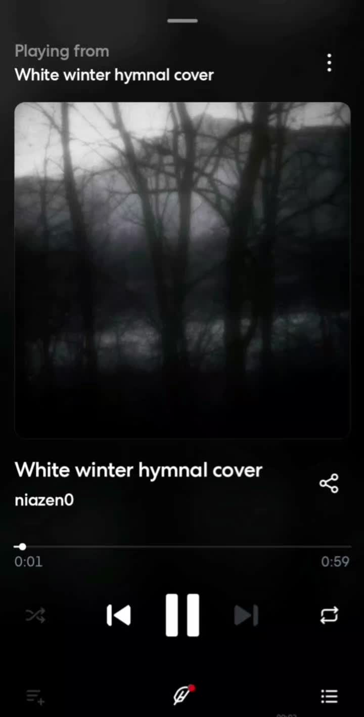 @niazen0
