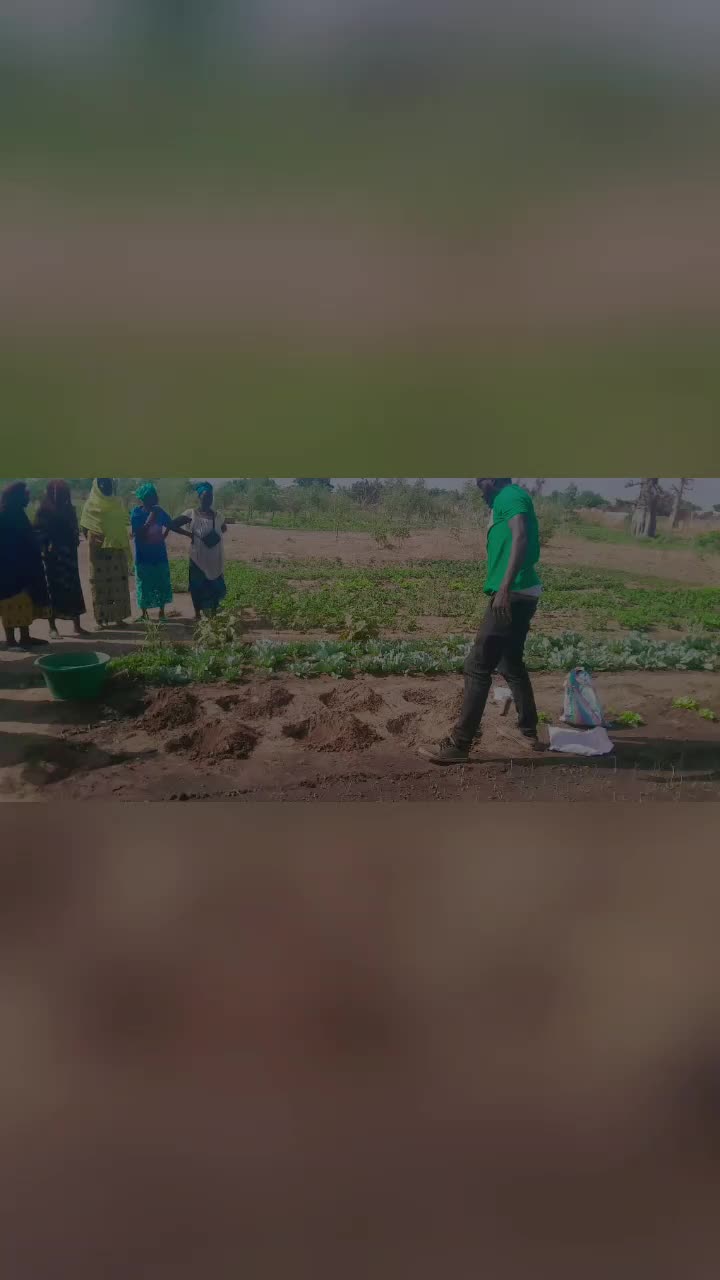 @Le Petit Agronome