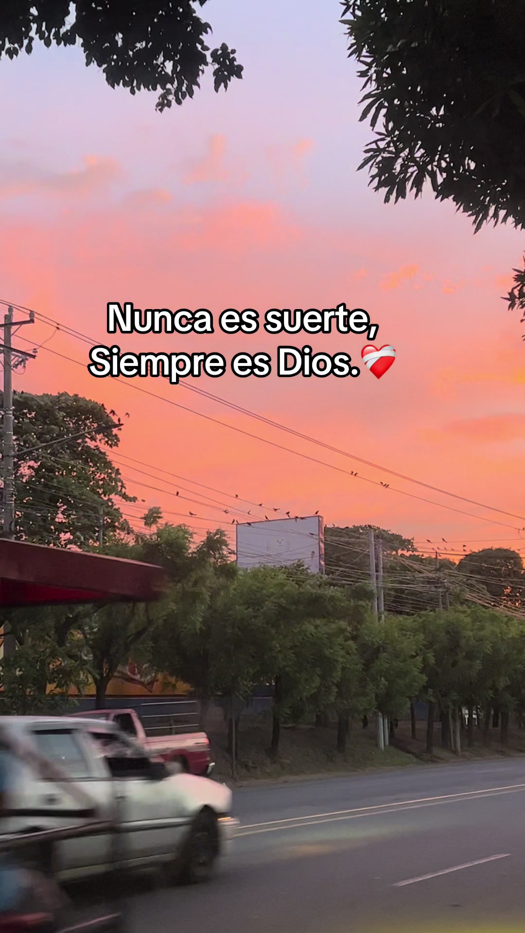 @✨CHAGO✨