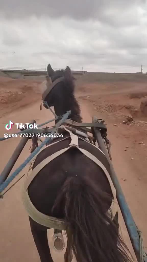@أمي قبل كل شيئ