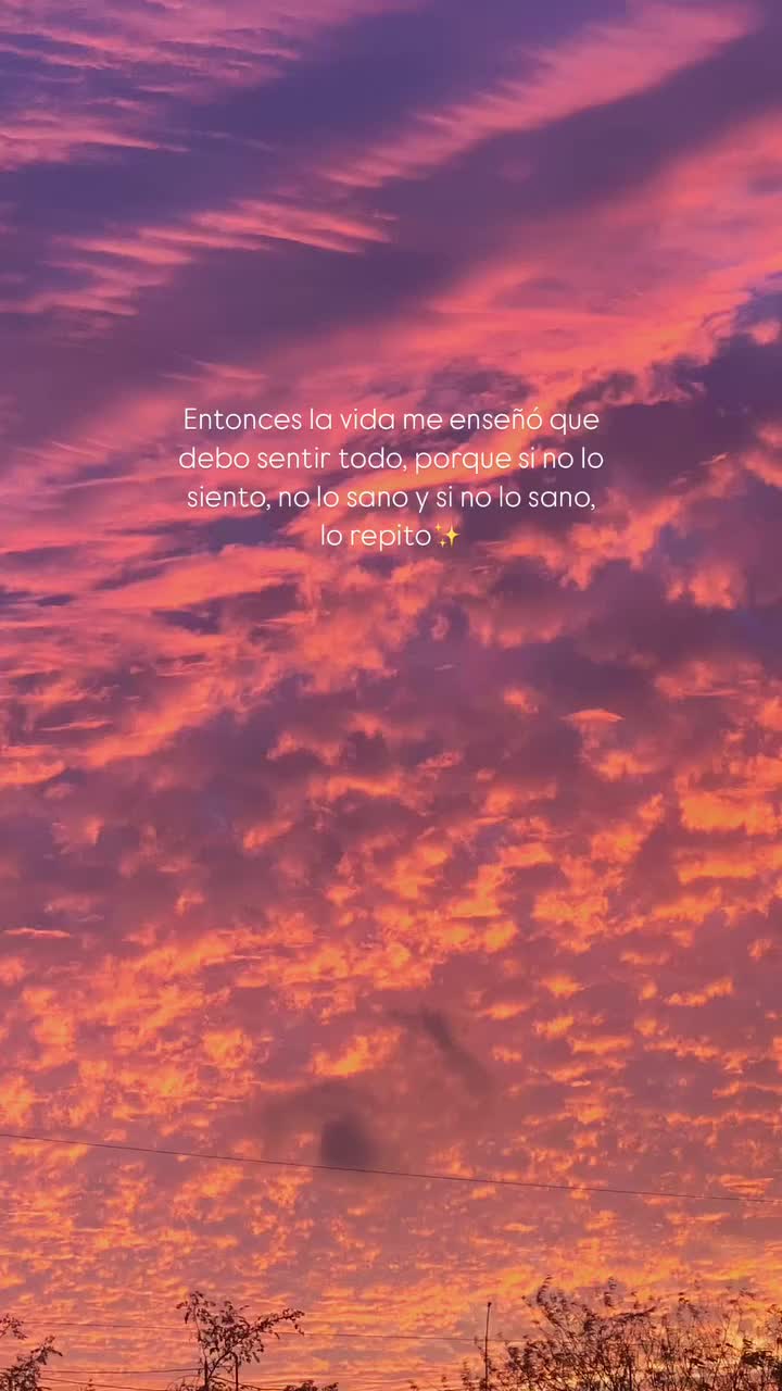 @Carla Aréchiga