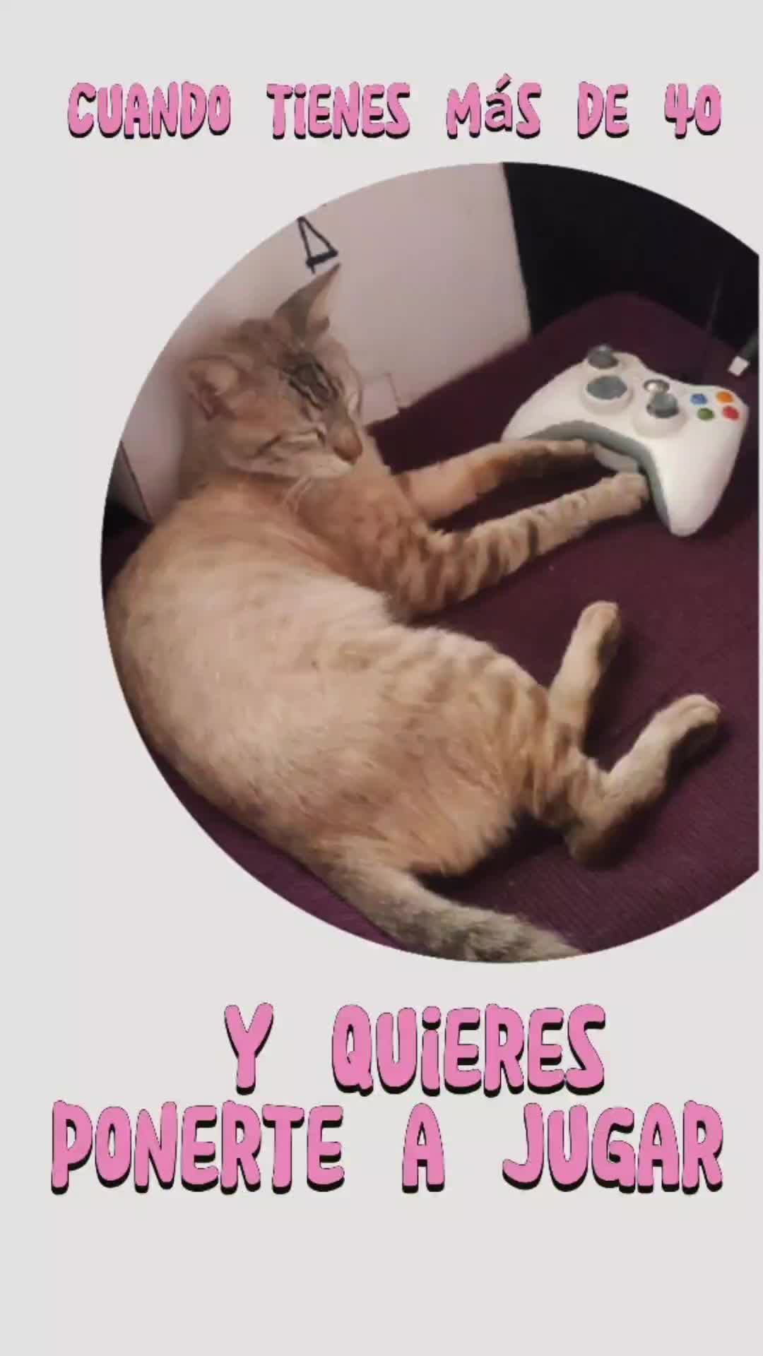 @Nivel 11 Games Py