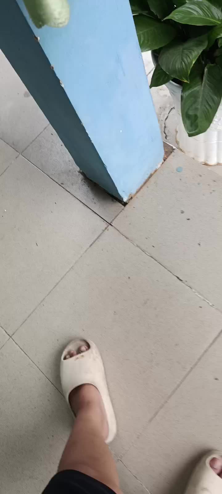 @An ff