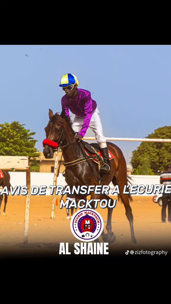 @Metzo🐎 bou tawfekh⚔️