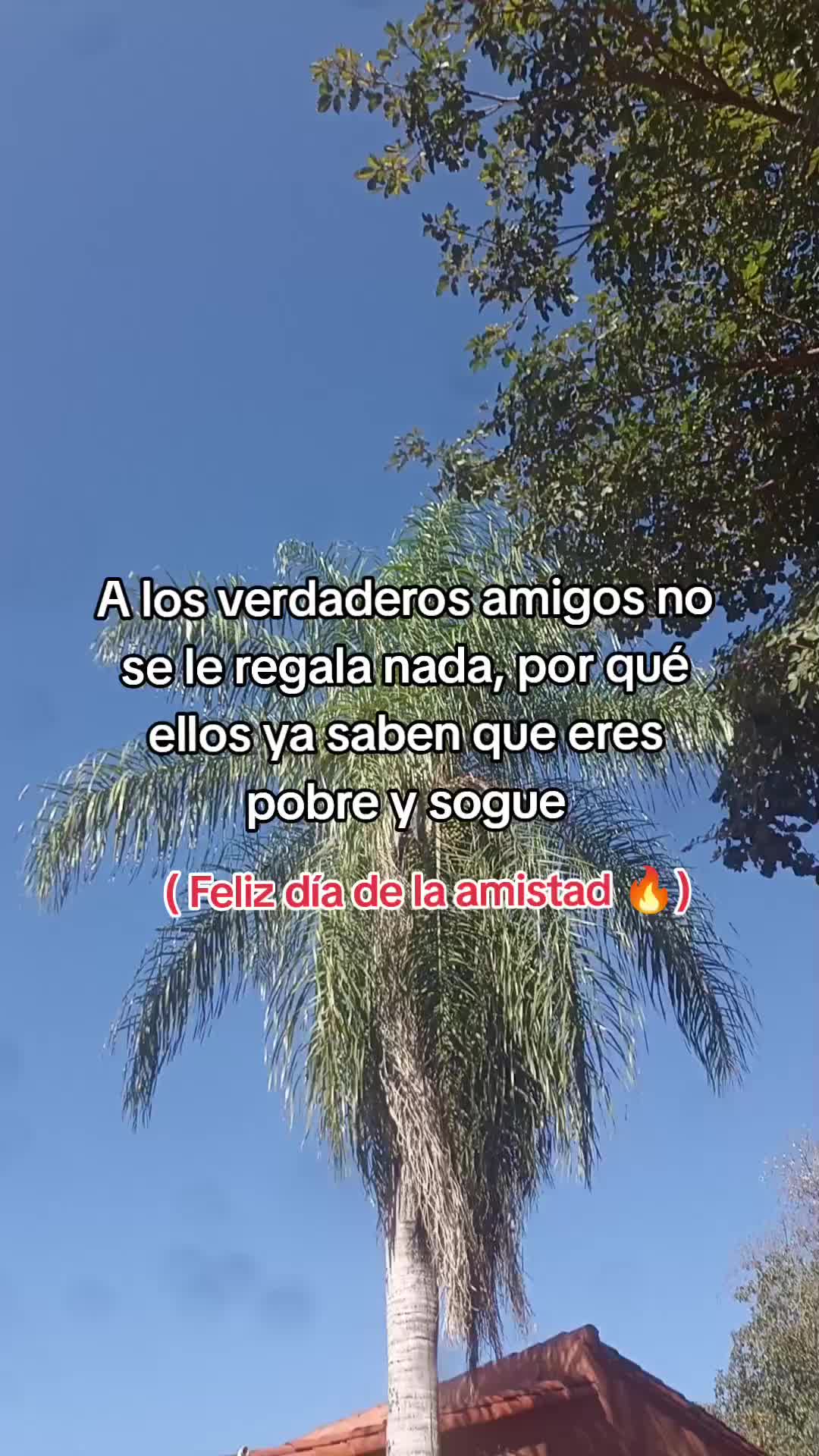 @Gómez#19