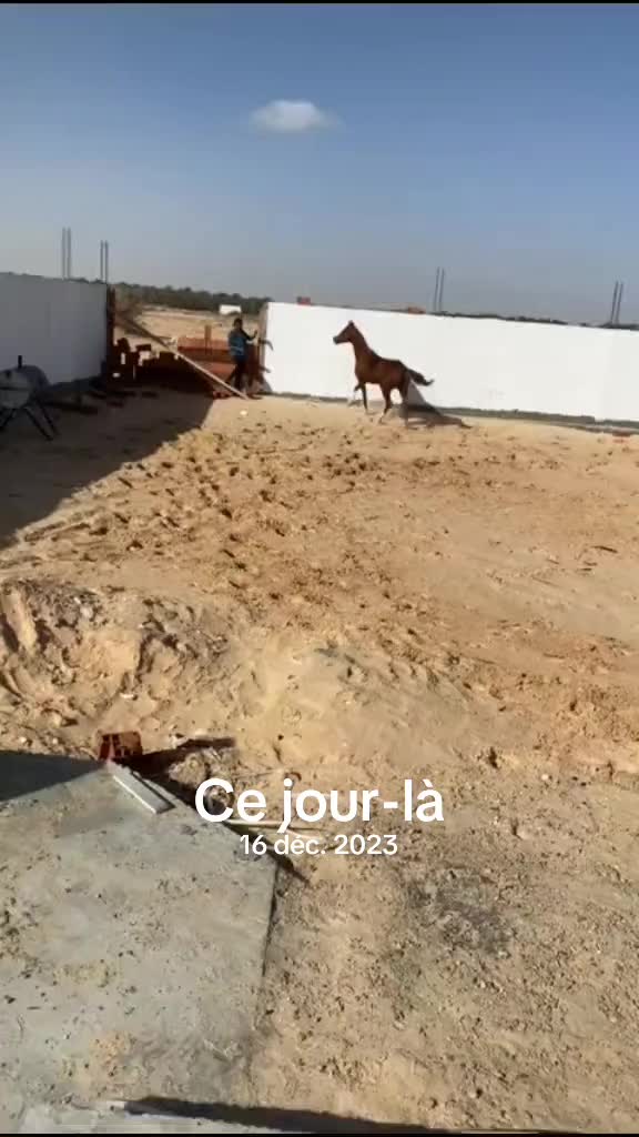 @Yosri Belguith