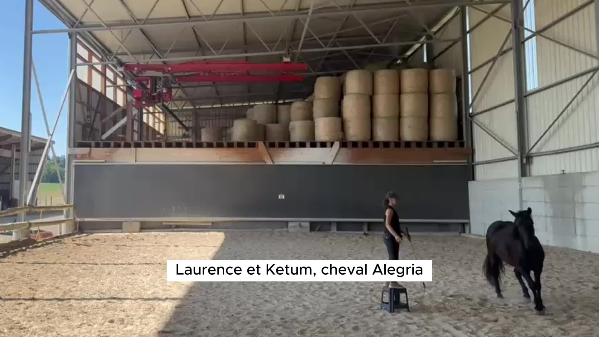 @Alegria Relation de Complicité