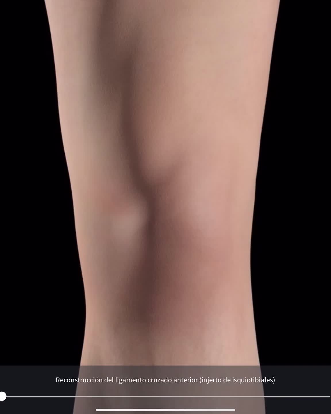 @Pasi&oacute;n por la Anatom&iacute;a
