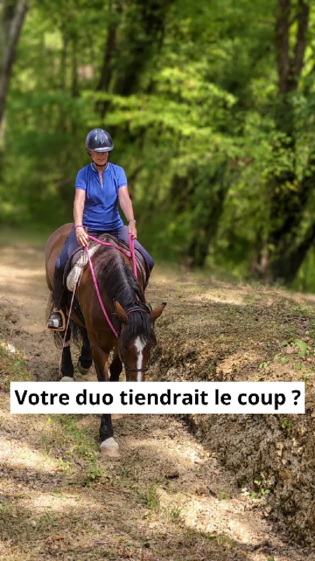 @Alegria Relation de Complicité