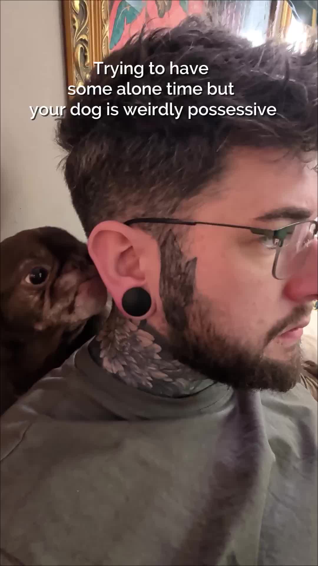 @ChilliThePug