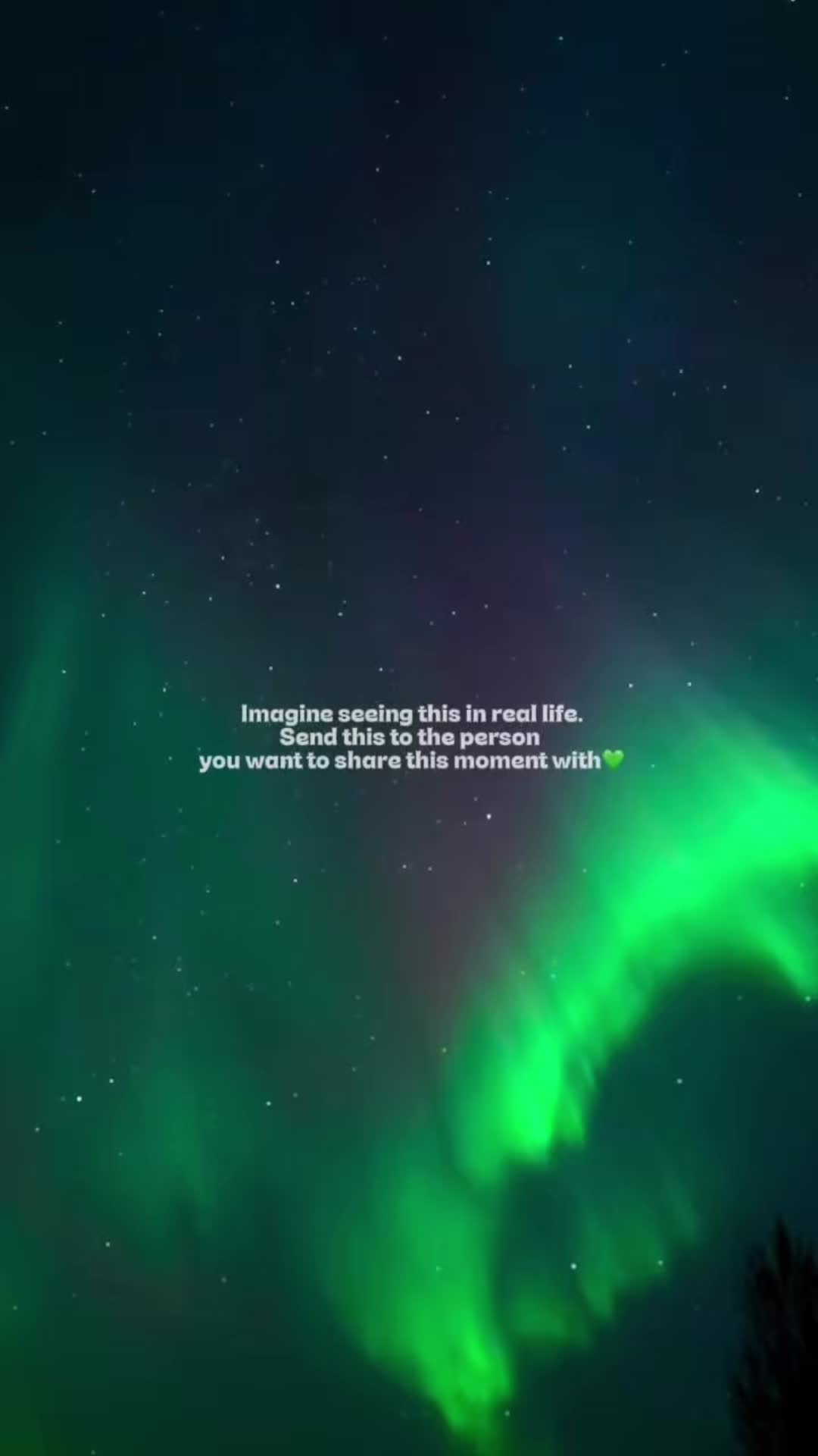 @BookLapland
