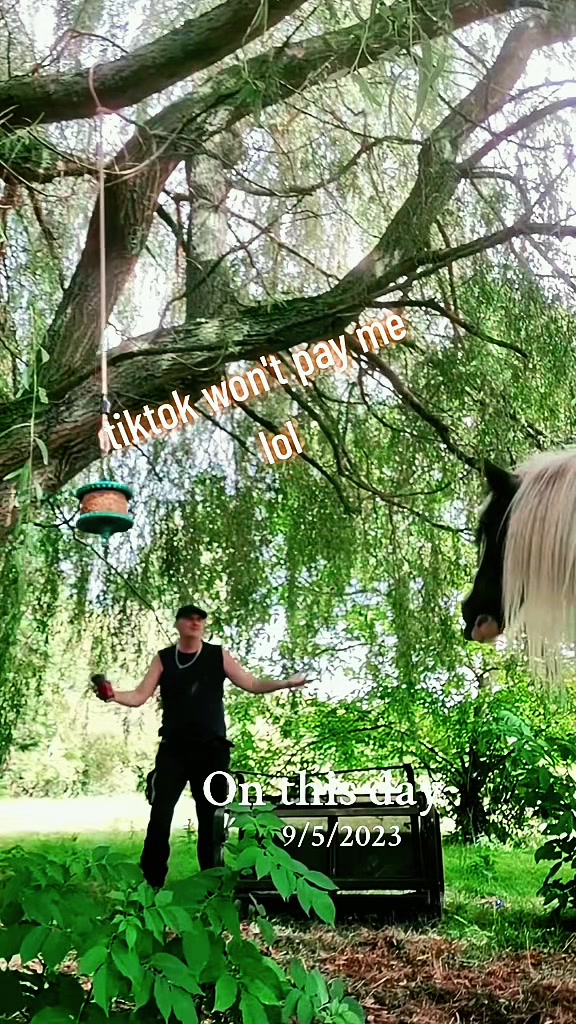 @EarthAngel 🐎