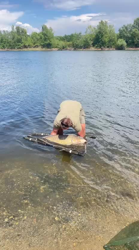 @Galifamili.carpteam