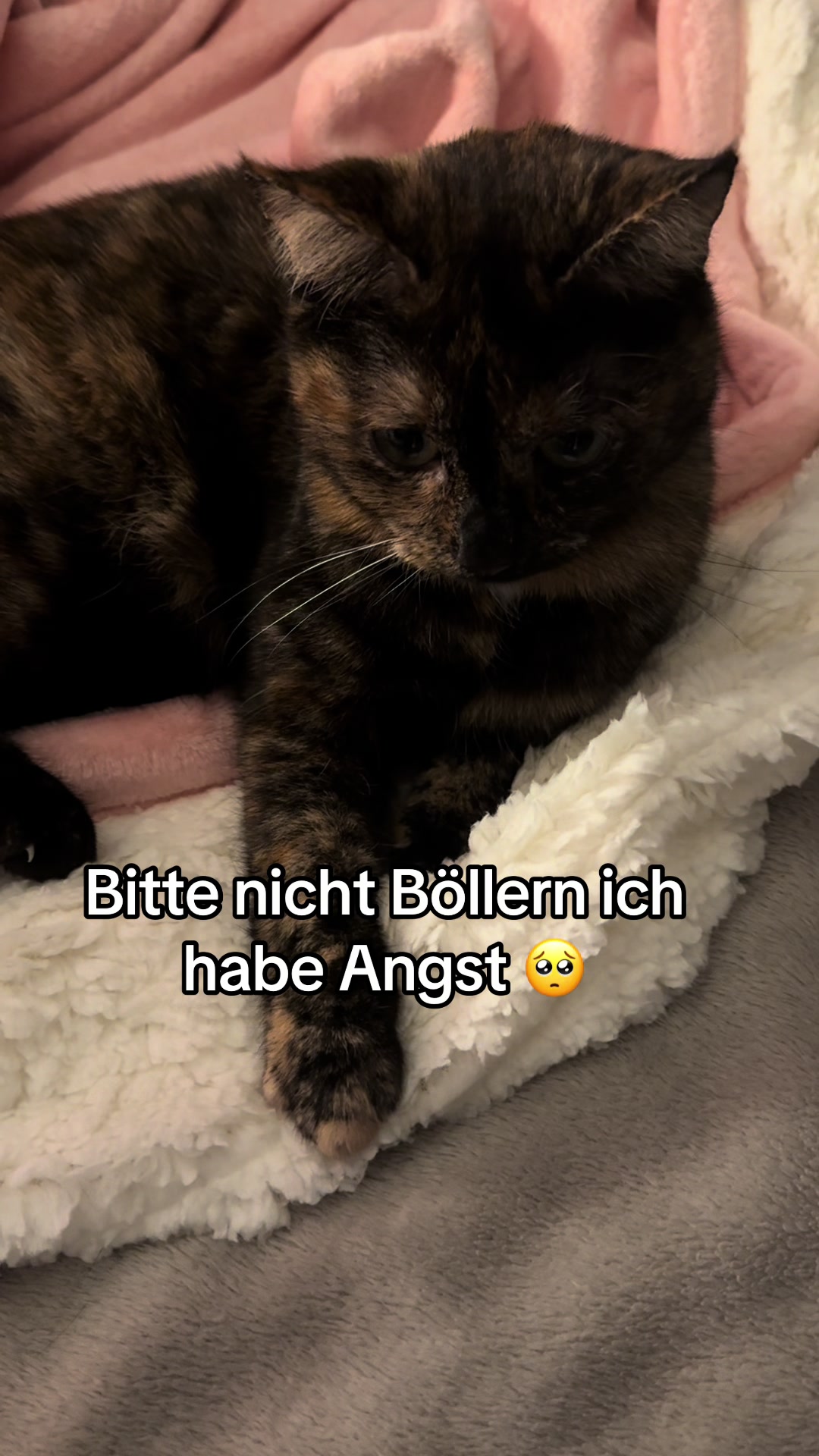 @Nala & Simba