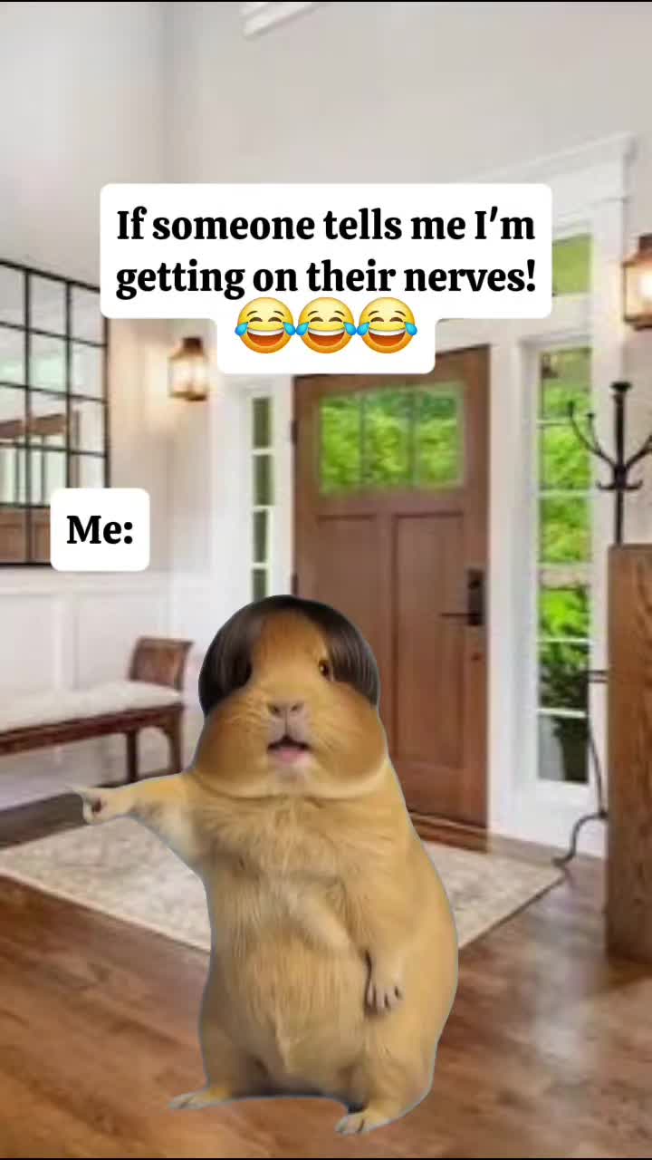@Nina C-J