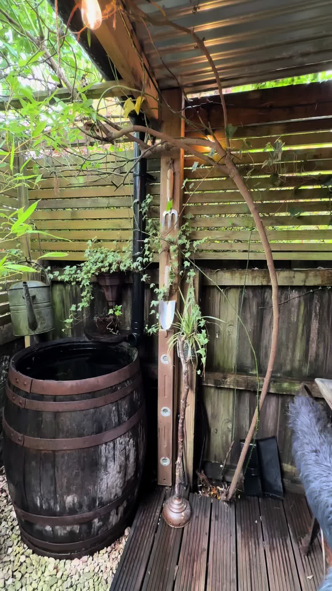 @Brookcottage