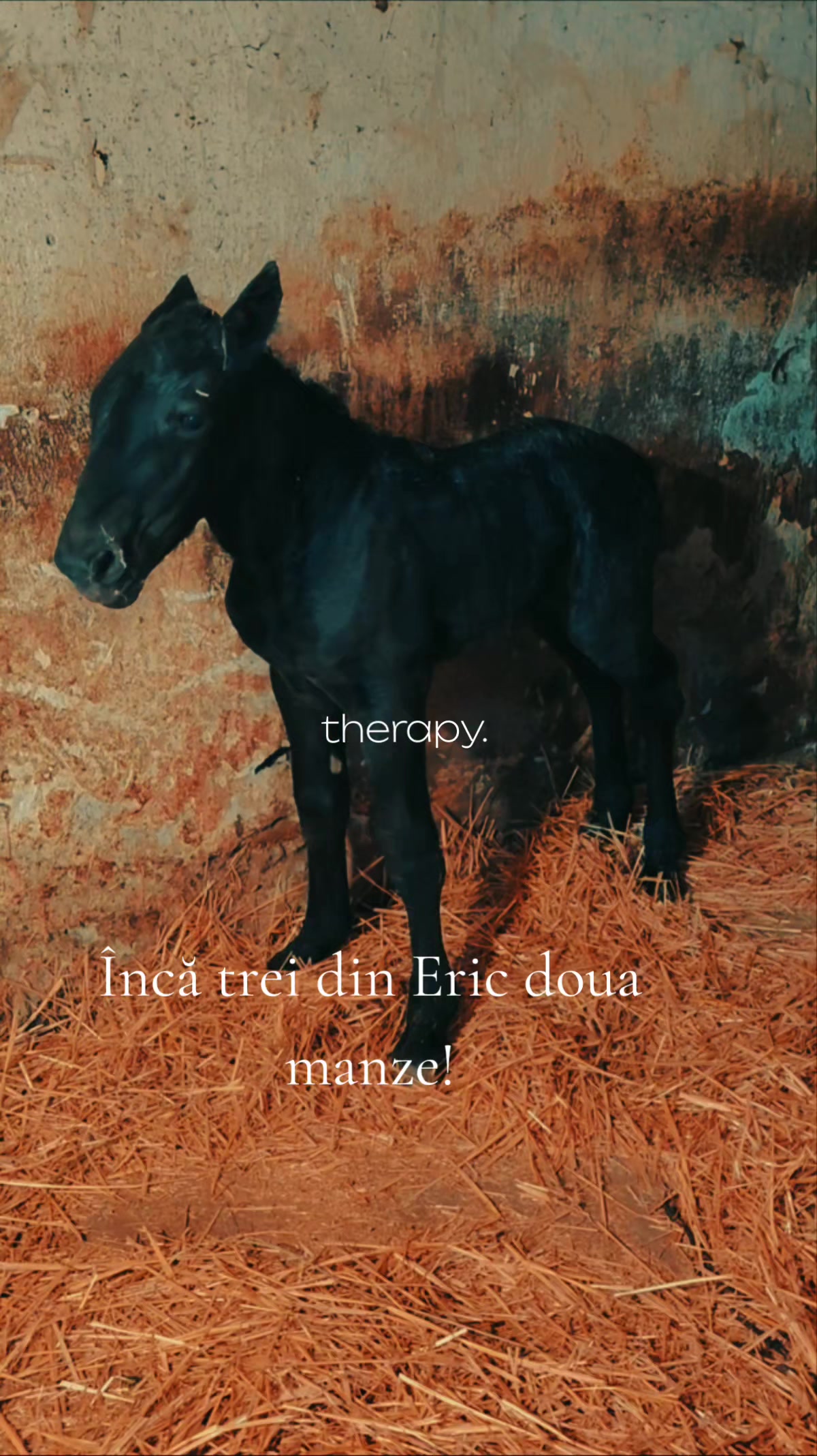 @Andrei Fernye