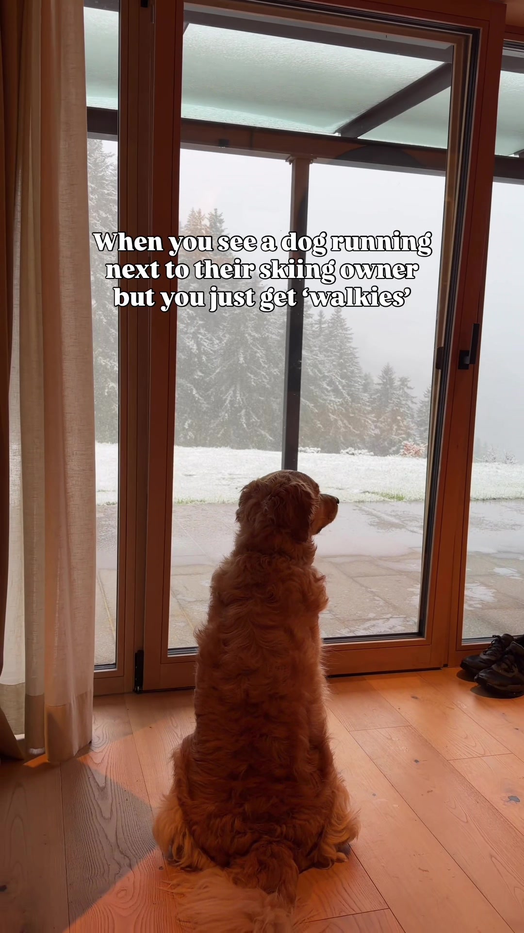 @Sheldon The Retriever