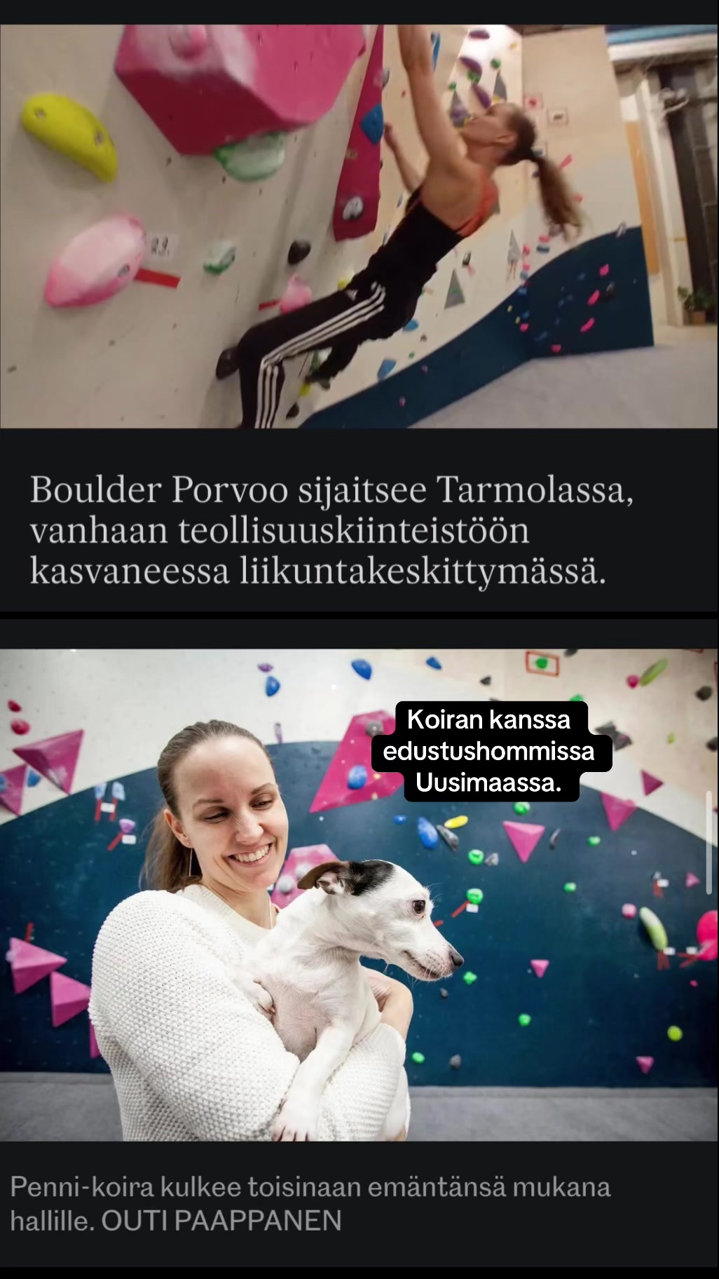 @Mari | yritt&auml;j&auml; ja ARK