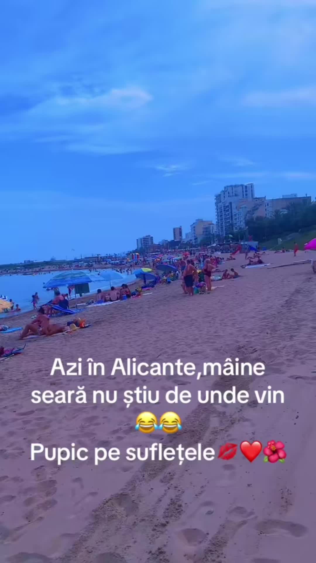 @Adriana Augustin295