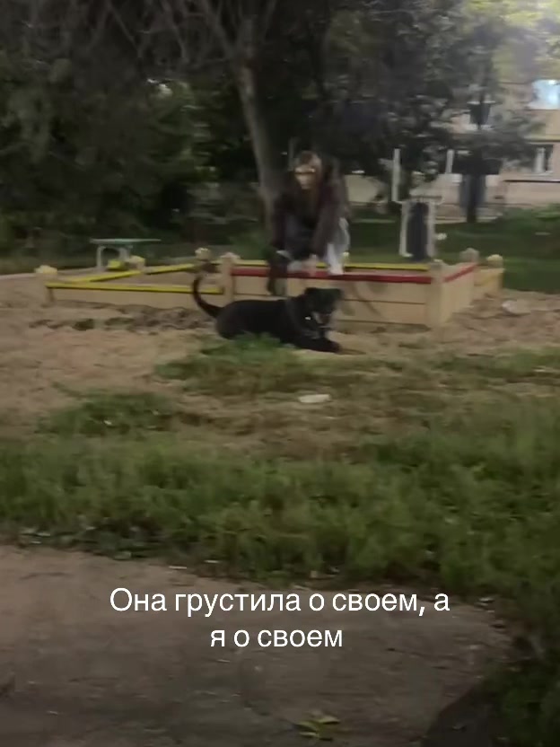 @vxrcvv