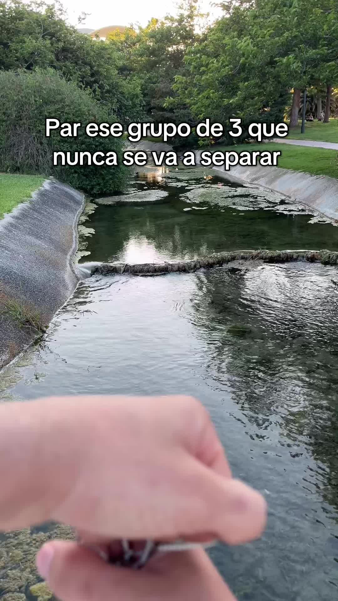 @ENLACE EN EL PERFIL